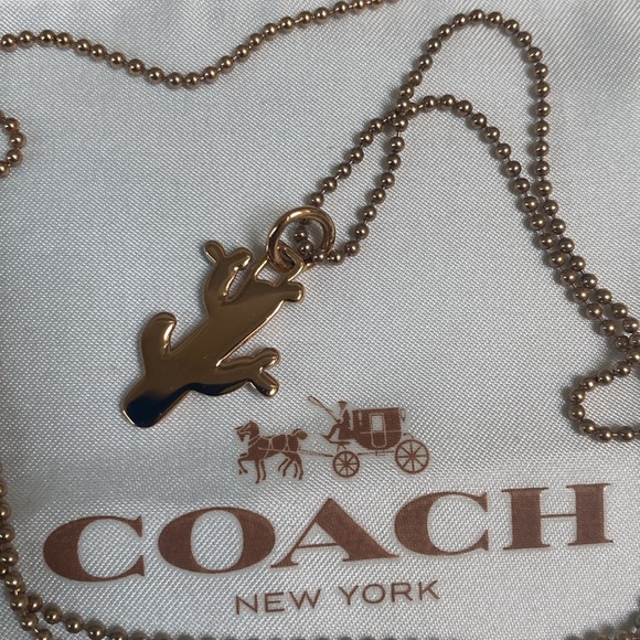 Coach cactus charm - Picture 3 of 5